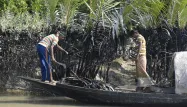 Une marée noire géante menace l’écosystème du Bangladesh