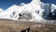 Elle gravit deux fois l'Everest en 7 jours