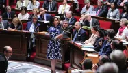 Pour Patrick Balkany, si Cécile Duflot a mis une robe à fleurs, c'est pour que les députés n'écoutent pas ce qu'elle a à dire.