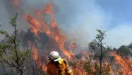 L’Australie redoute un "méga-incendie"