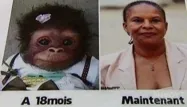 Le Front national a annoncé vendredi avoir suspendu une de ses candidates aux municipales, à Rethel (Ardennes), Anne-Sophie Leclere, qui avait comparé Christiane Taubira à un singe.