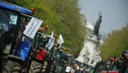 Menés par la FNSEA, premier syndicat agricole, des centaines d'agriculteurs d'Île de France envisagent de bloquer les principaux axes routiers de Paris, jeudi matin.
