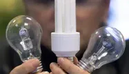 Faut-il se méfier des ampoules basse consommation ?