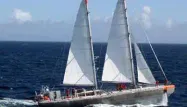 Le voilier Tara repart en expédition