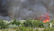 Le feu a dévoré 130 hectares supplémentaires de bois, de garrigues et de vignes vendredi, autour de Générac, une commune du Gard où près de 500 hectares avaient déjà brûlé depuis mardi.