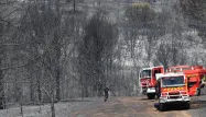 Incendie feu de forêt Générac 1280