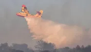 Huit Canadairs sont actuellement mobilisés pour lutter contre les flammes. Photo d'illustration.