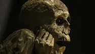 Exposition : le musée de l'Homme à Paris propose de percer le mystère des momies