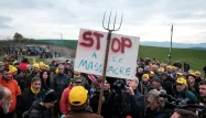 Des centaines d'éleveurs barricadent une ferme en Ariège pour empêcher l’abattage d’un troupeau.