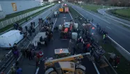 EN DIRECT - Dermatose nodulaire : l'autoroute A64 bloquée par les agriculteurs entre Bayonne et Tarbes