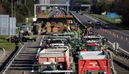 Les agriculteurs ont investi à nouveau l'A64, elle qui avait déjà été bloquée en janvier 2024 lors de la crise agricole.