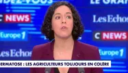 Colère agricole : «Cette gestion de la crise est complètement déconnectée de la réalité des agriculteurs», pointe Manon Aubry