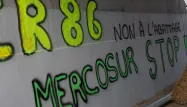 Mercosur : ce que les agriculteurs français pourraient perdre en cas de signature du traité de libre échange