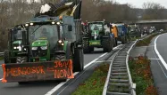 EN DIRECT - Mercosur : des milliers d'agriculteurs en route vers Bruxelles