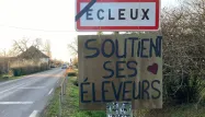 «On a eu un soutien énorme» : à Ecleux dans le Jura, élan de solidarité pour lutter contre la dermatose nodulaire contagieuse
