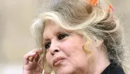 «Je suis tellement écœurée» : quand Brigitte Bardot lançait un appel au gouvernement pour sauver deux marcassins recueillis