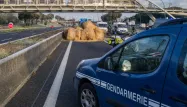 Agriculteurs en colère : manifestations et barrages à Toulouse avant le vote sur le Mercosur