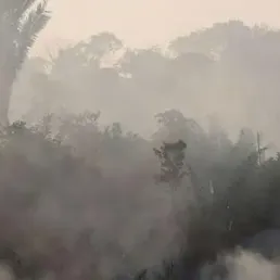 EXTRAIT - Jour du dépassement : les signes vitaux de la planète au crible
