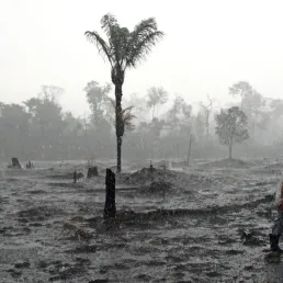 RÉCIT - Amazonie : un nombre important d'incendies enregistrés cet été