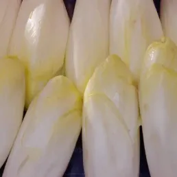 Découvrez la recette de chiconflette de Laurent Mariotte