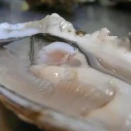 Découvrez la recette des huîtres au barbecue