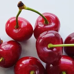 Découvrez la recette du clafoutis de Laurent Mariotte