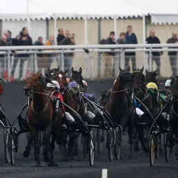 Les pronostics hippiques - 23/07/2019