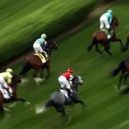 Les pronostics hippiques - 24/08/2019