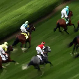 Quinté du 21/10/2019 à Enghien