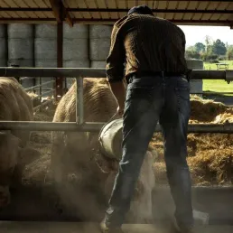 Des agriculteurs sans revenus, la mise en garde des médecins, des drones testés pour un site XXL