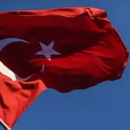 Les prisonniers étrangers de l'EI renvoyés de Turquie, Delevoye recadré, Doherty interpellé