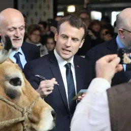 "On devrait considérer les agriculteurs comme des patrons de start-up"