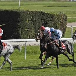 Les pronostics hippiques - 20/04/2018