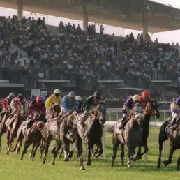 Les pronostics hippiques – 21 avril 2018