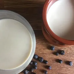 Panna cotta aux baies de genièvre par Anne-Laure Pham