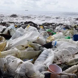 "L'impact épouvantable des plastiques pour les océans"