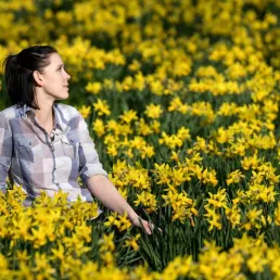 On fête le printemps avec des jonquilles