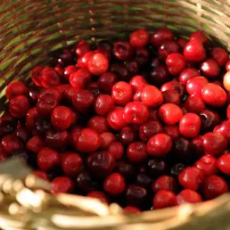 Un dimanche plein de fêtes