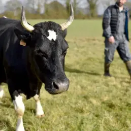 La fête des fermes à l'honneur !