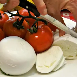 La table de l'été - la mozzarella