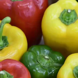 La table de l'été - les poivrons
