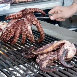 La table de l'été - les céphalopodes