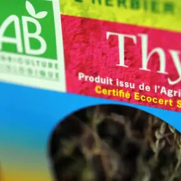 La table de l'été : les herbes aromatiques