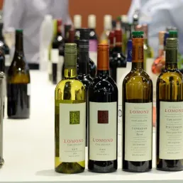 Le bon plan conso - L'opération Carte sur Table