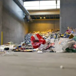 Tri des déchets : quelles différences entre la France et l'étranger ?