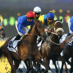 Les pronostics hippiques - 22/05/2016