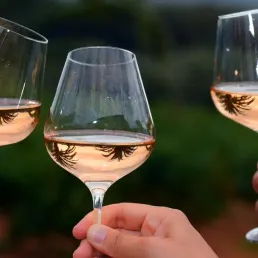 L'engouement pour le rosé