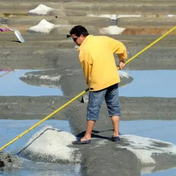 Marais salants de Guérande