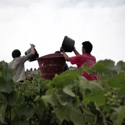 Conques, un joli mélange nichée au fond d'une vallée aveyronnaise