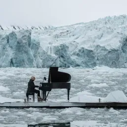 Du piano sur la banquise, embardée d'hooligans et le Brexit en dessins !